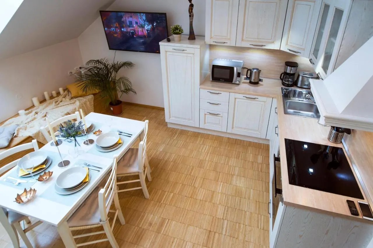 Modern Apartment Charvatova Praga República Checa
