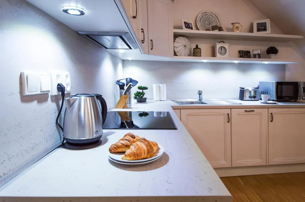 Modern Apartment Charvatova Praga República Checa